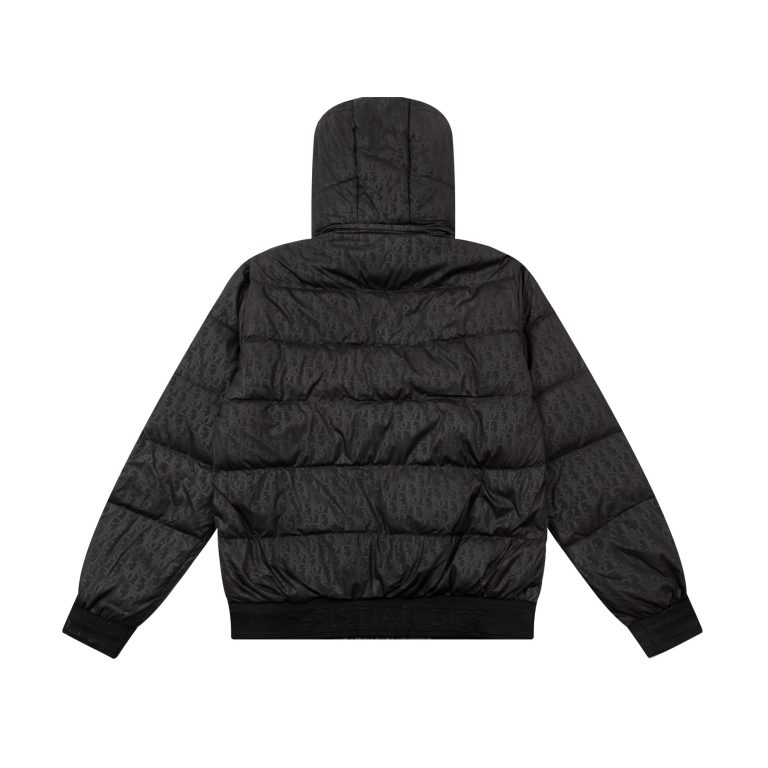 Replica Dior Clothes 01RA545 - Image 2