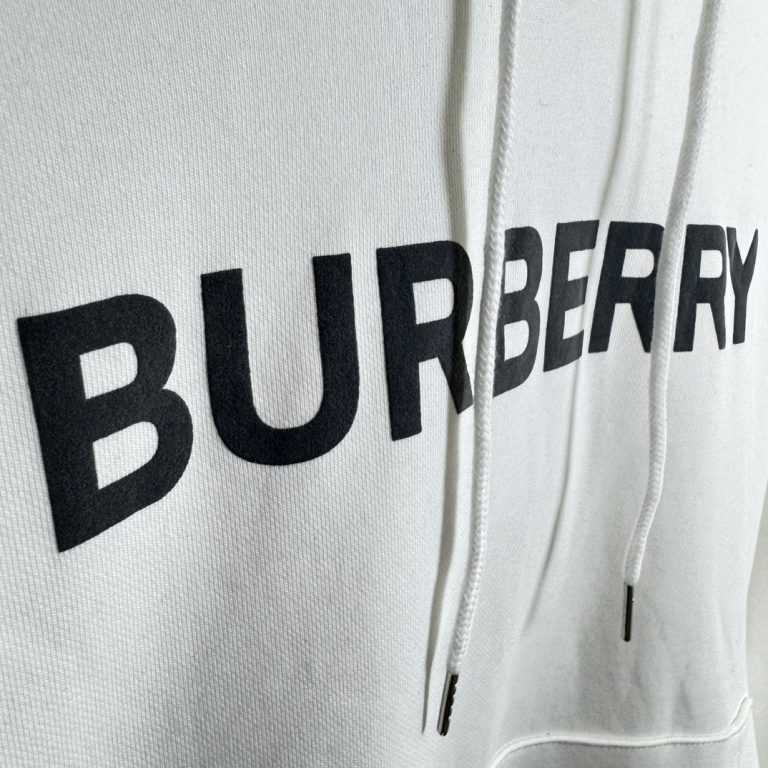 Replica BURBERRY Clothes 01RA739 - Image 4