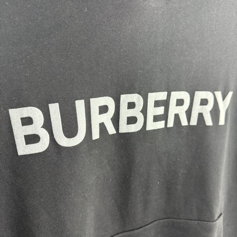 Replica BURBERRY Clothes 01RA740 - Image 4