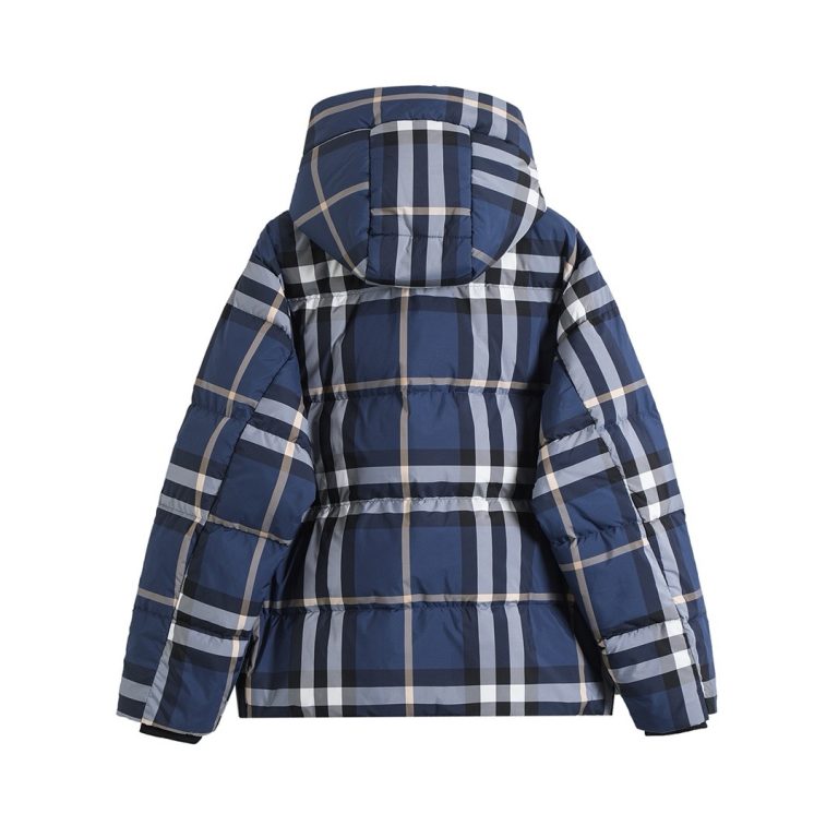 Replica BURBERRY Clothes 01RA762 - Image 2