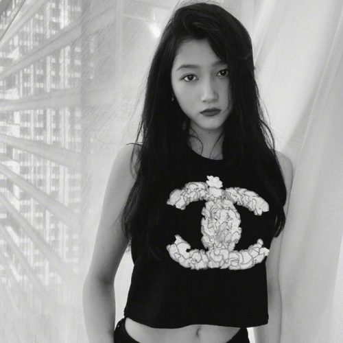 Replica Designer Chanel Women Fashion Double C Camellia Sleeveless Vest