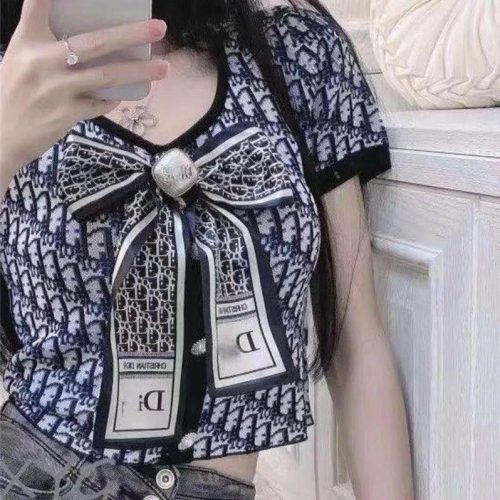 Replica Designer Dior Elegant Letter Jacquard Knit Top