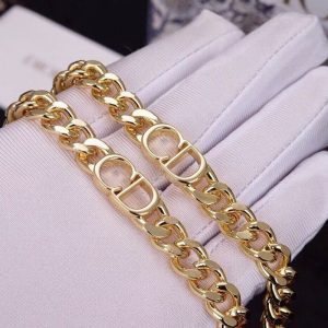 Replica Designer Dior Simple Metal Thick Chain Necklace And Bracelet