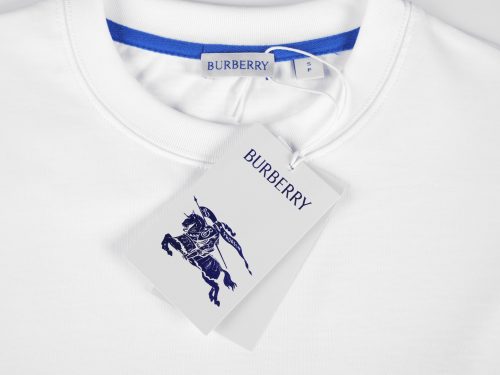 Fashionreps Burberry Clothes 18KE0147 - Image 3