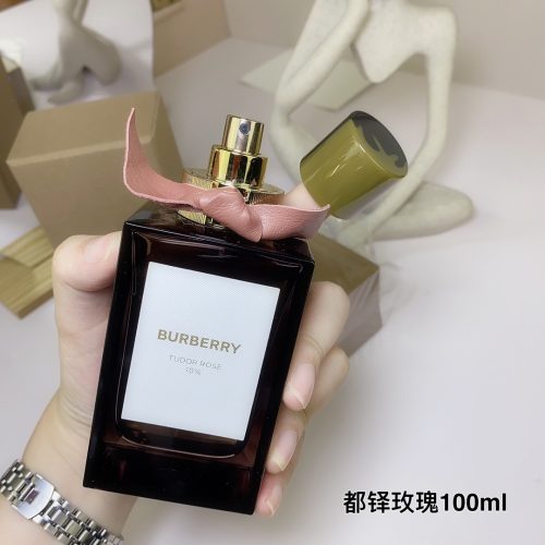 Fashionreps Burberry  Fragrance PR493 - Image 4