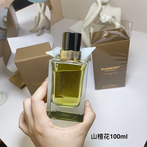 Fashionreps Burberry  Fragrance PR903 - Image 4